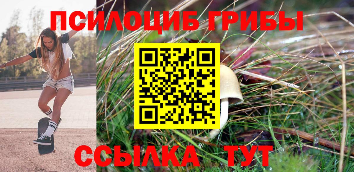 Сарапул  купить   Галлюциногенные грибы ЛСД  Вход с VPN  Галлюциногенные грибы Psilocybine cubensis 
