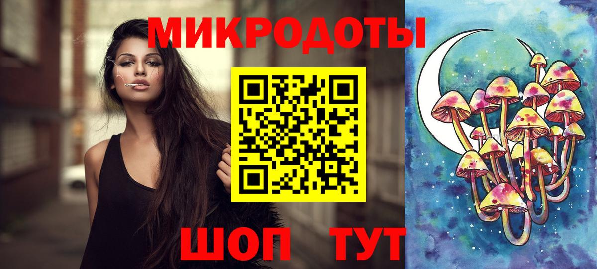 Галлюциногенные грибы Psilocybe Сарапул